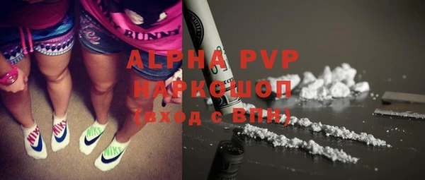 стаф Волоколамск