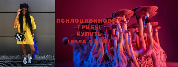 соль ск Володарск