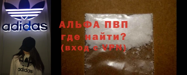 стаф Волоколамск
