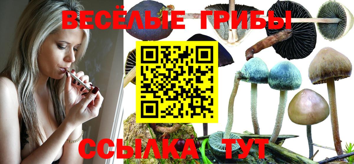 Псилоцибиновые грибы GOLDEN TEACHER  Галлюциногенные грибы MAGIC MUSHROOMS  Вход с VPN  Рузаевка 