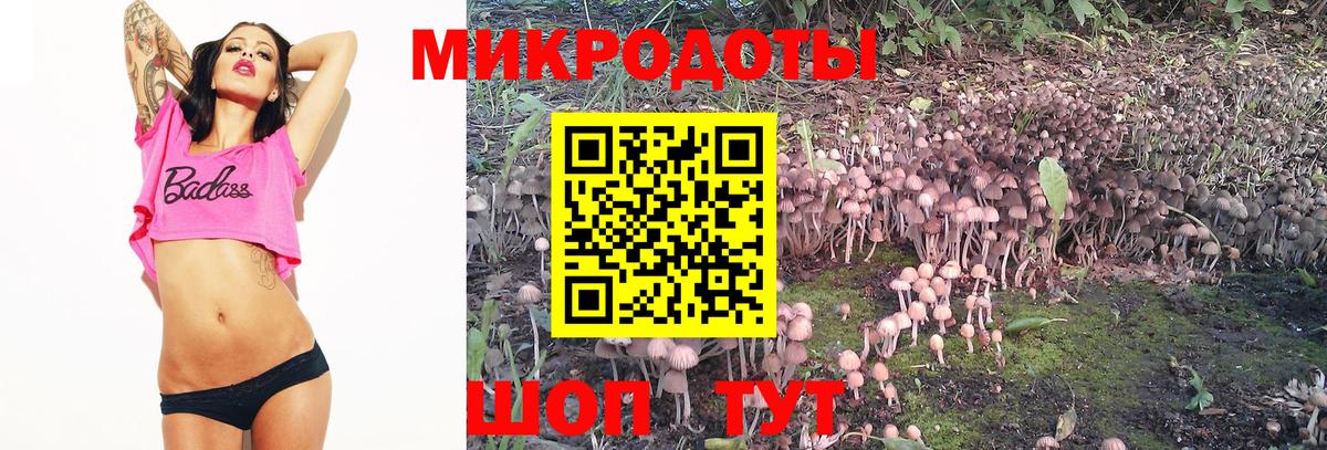 Галлюциногенные грибы MAGIC MUSHROOMS Рузаевка